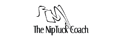 NipTuck logo